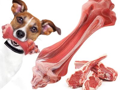 61Ezb+lOQML._AC_UF1000,1000_QL80_